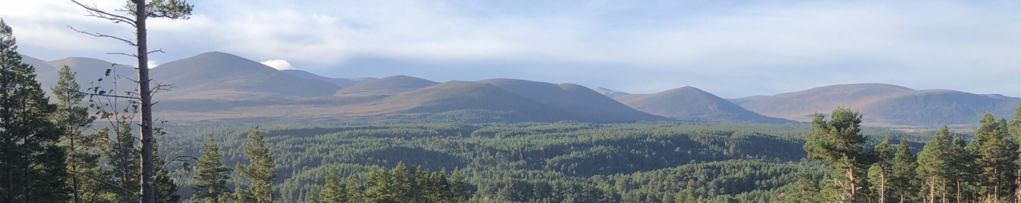 Cairngorms